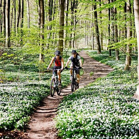 Vakantiehuis In Een Prachtige Bosrijke Omgeving In Twente! Bornerbroek Εξωτερικό φωτογραφία