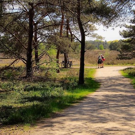 Vakantiehuis In Een Prachtige Bosrijke Omgeving In Twente! Bornerbroek Εξωτερικό φωτογραφία