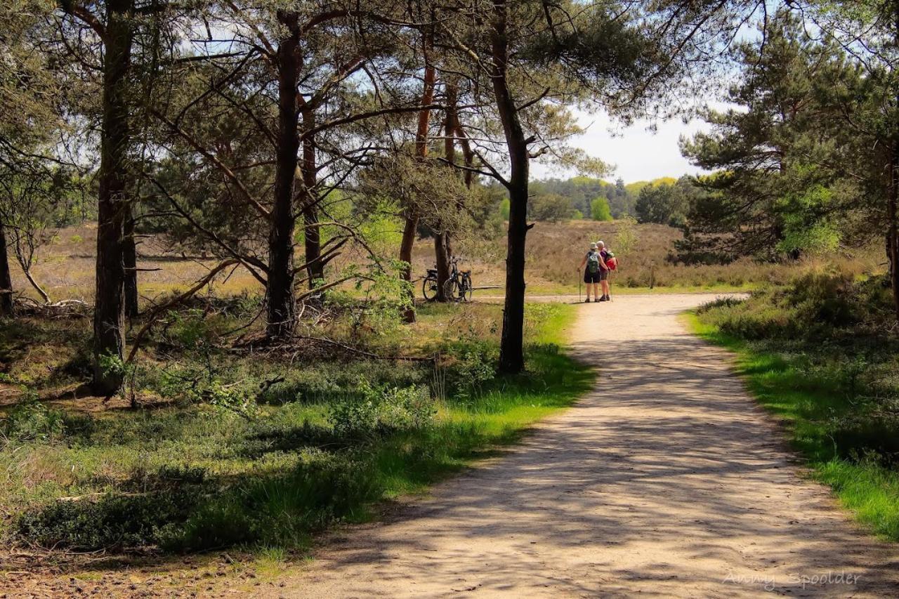 Vakantiehuis In Een Prachtige Bosrijke Omgeving In Twente! Bornerbroek Εξωτερικό φωτογραφία
